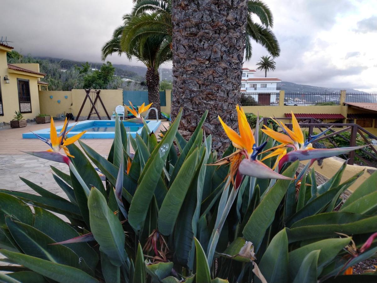 Apartamento La Costa Santa Cruz de Tenerife Bagian luar foto